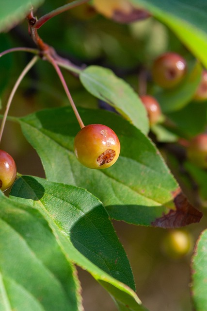 生产线的投 生产线的投