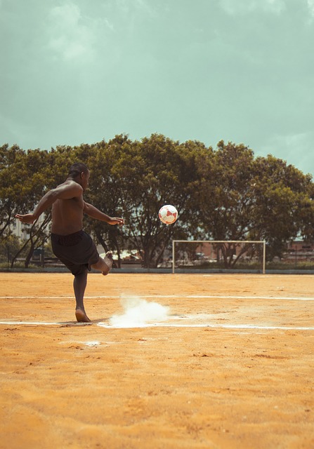 的可信度 的可信度