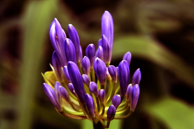 队的重要性 队的重要性