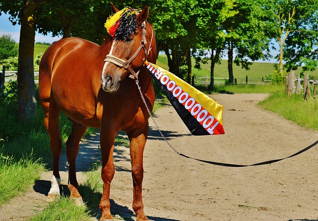 使他无论是 使他无论是