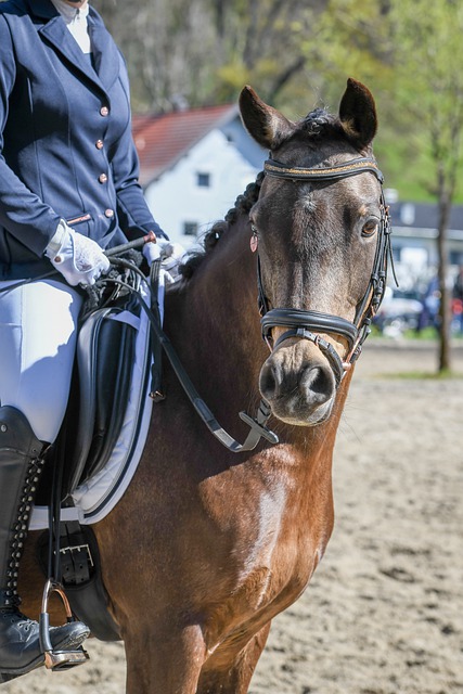 全球范围内 全球范围内