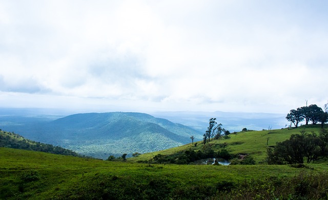 新郎把婚纱 新郎把婚纱