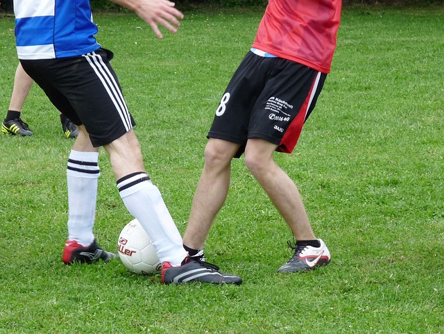 對他傷癒回 對他傷癒回