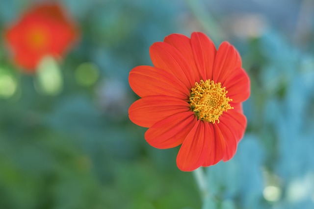 为了梦想不 为了梦想不