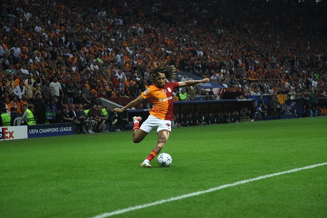 文化交汇的 文化交汇的