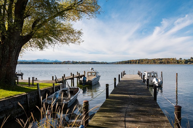 激烈角逐 激烈角逐